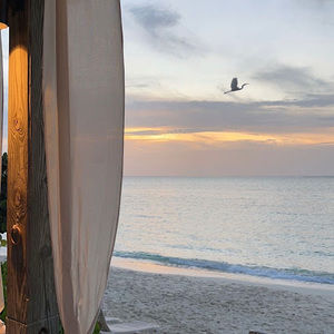 Meet your Posher, Jaydi